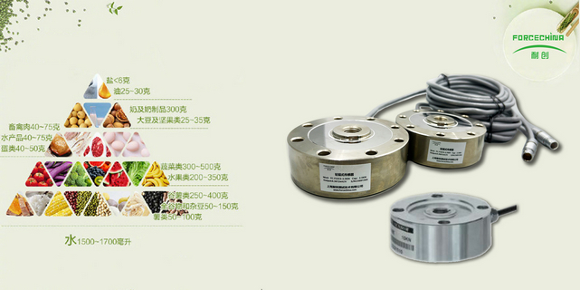 稱重傳感器在醫(yī)療營養(yǎng)膳食管理中的應(yīng)用